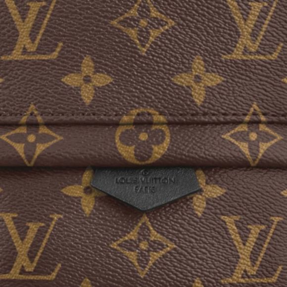 Louis Vuitton Backpack Daypack Monogram Palm Springs Mini - Picture 5 of 6